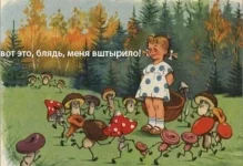 getImage (3).webp