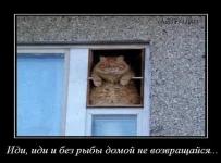 fSpPvhB6Rm4 К.webp