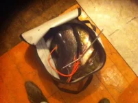 __________ 1.webp