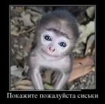 getImage11.webp