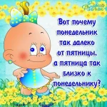 0 - (8).webp