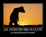медведь.webp