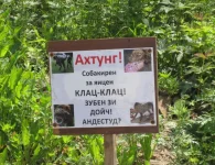 Копия IMG_0214.webp