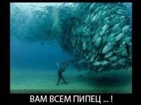 1d234470b2f02df234ce6e6bf62cd1c7-w680.webp