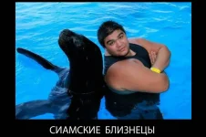 73500c35bb961930642fb59b7998a584-w680.webp