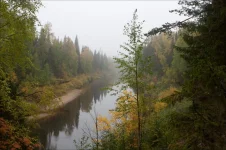 _MG_8493.webp