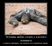 ae43ab35ac05d6de327caab2e082f38d-w680.webp
