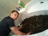 2012-07-13 10.14.28.webp