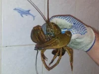 20120824_012917.webp