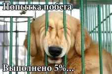 getImage (13).webp