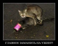 getImage3.webp