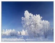 0908aa4cb77a8434967d1be5ca7dcb5f.webp