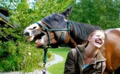 getImage (29).webp