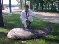 ____0043.webp