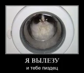пеа67.webp