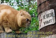 р78ро.webp