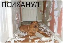 0ор8.webp