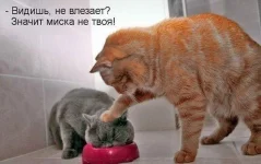 eJQJQHCuB8s.webp