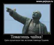 4ыу5к6еа.webp
