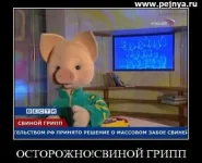 14.webp