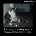 76е64упн6е.webp