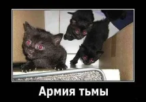 getImage (9).webp