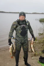 123.webp