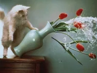 1356356397_perfectly_timed_cat_13.webp