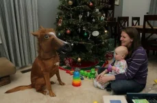 PMUMVGkCrZA.webp