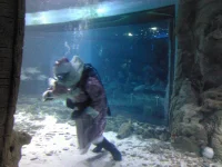 IMG_20121225_130802.webp