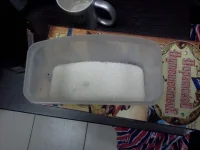 IMG120.webp