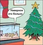 getImage (2).webp