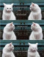 BBEBa3J2YDQ.webp