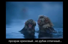 c33c3fbc59995289df3c12577ffcb14f-w680.webp