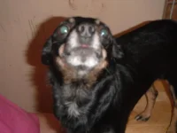 DSCF4167.webp