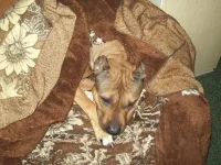 000_0015_новый размер.webp