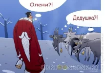 pervoe-yanvarya.webp