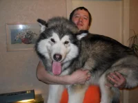 DSCN0599.webp