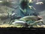 IMG_20130110_103850.jpg