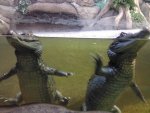 IMG_20130110_110717.jpg