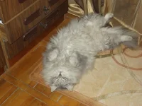 DSCF1342.webp