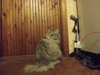 DSCF2116.webp