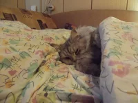 DSCF2117.webp