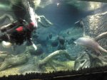 IMG_20130114_105123.jpg