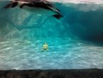 IMG_20130114_113947.jpg