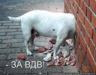 getImage.webp