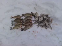 IMG_20121208_160006.webp