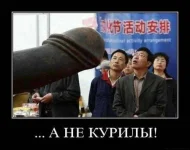 1324054838_1324037733682423[1].webp