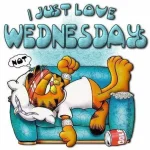 garfield-hate-wednesdays.webp