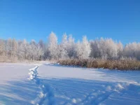 Копия DSC_0093.webp